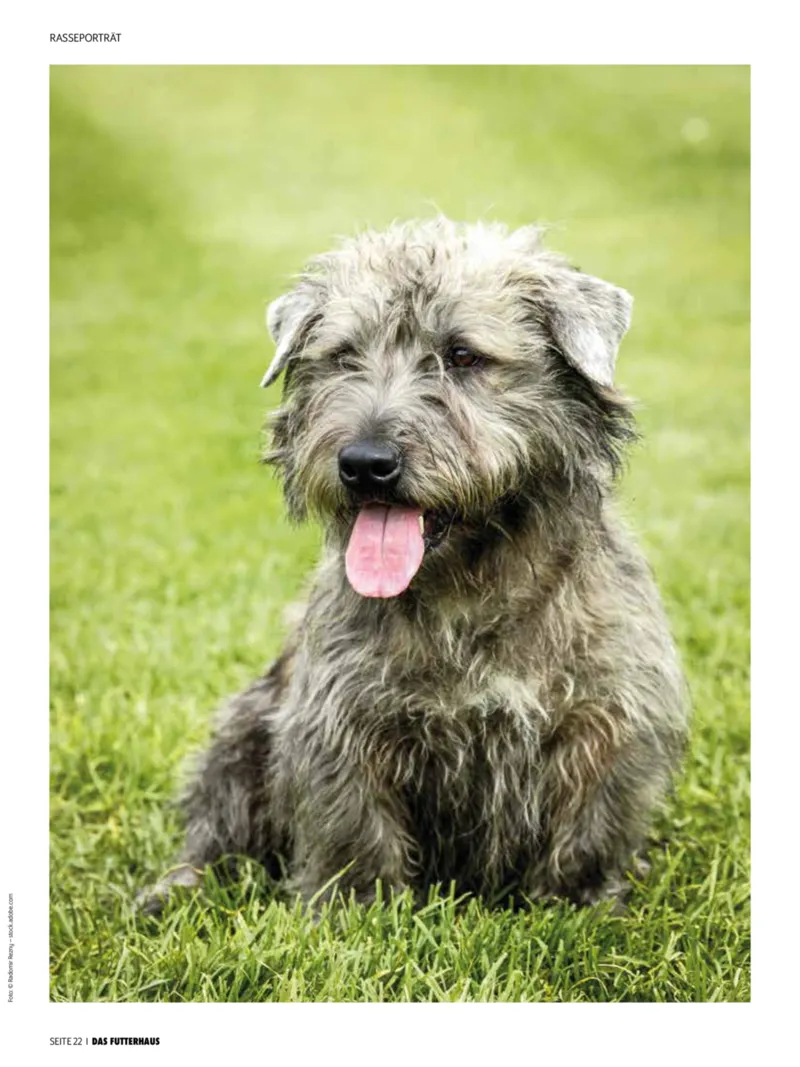 Das Futterhaus Prospekt vom 01.04.2026, Seite 22