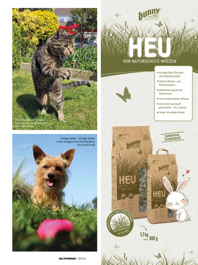 Das Futterhaus Prospekt vom 01.04.2026, Seite 31