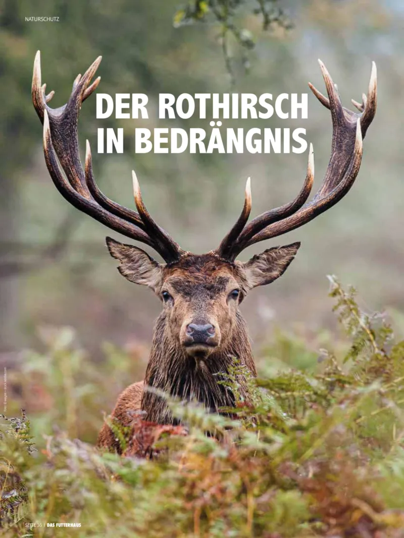 Das Futterhaus Prospekt vom 01.04.2026, Seite 36