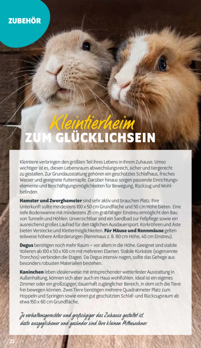 Das Futterhaus Prospekt vom 25.04.2026, Seite 22