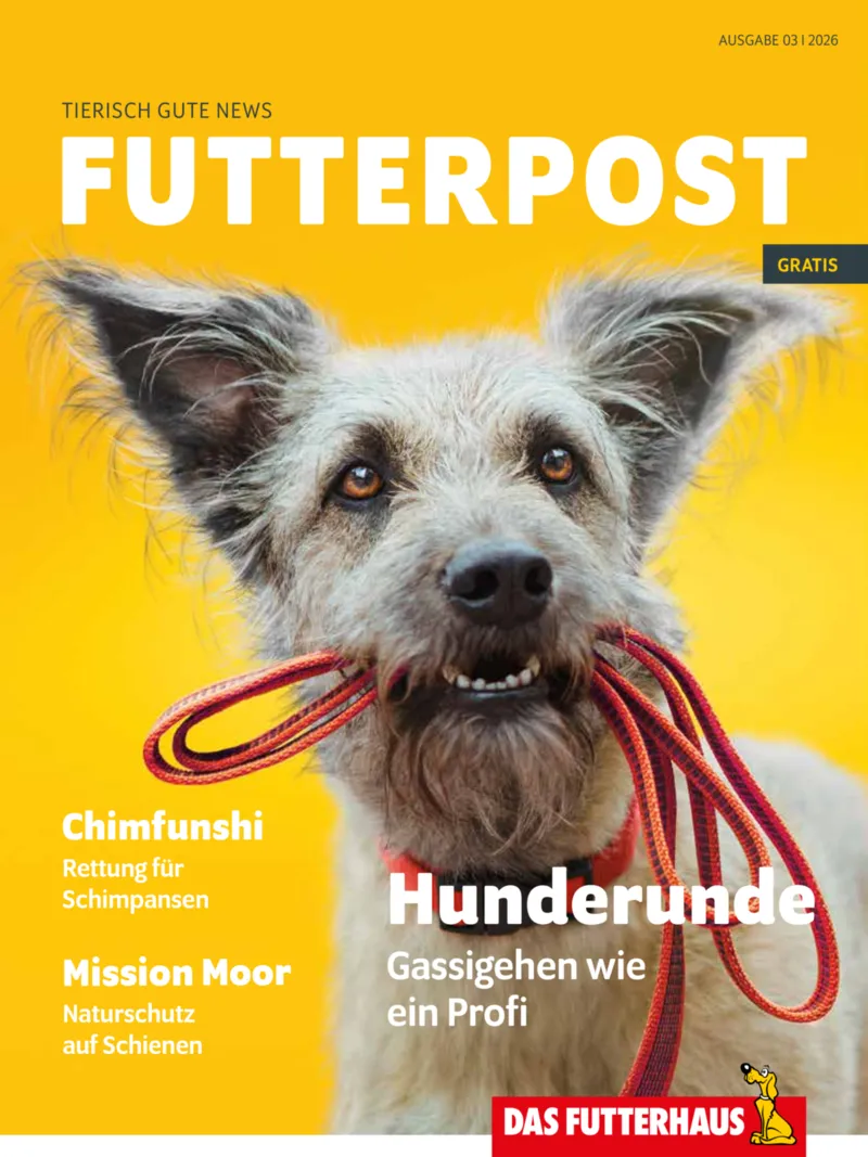 Das Futterhaus Prospekt vom 31.05.2026, Seite 1