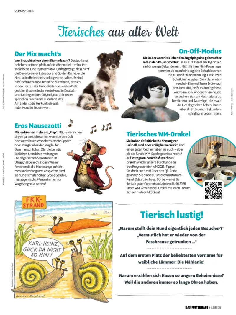 Das Futterhaus Prospekt vom 31.05.2026, Seite 35