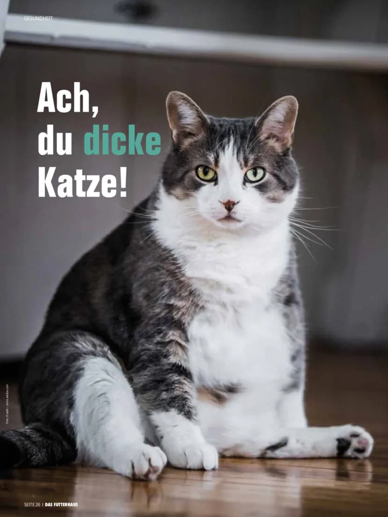 Das Futterhaus Prospekt vom 08.08.2026, Seite 26