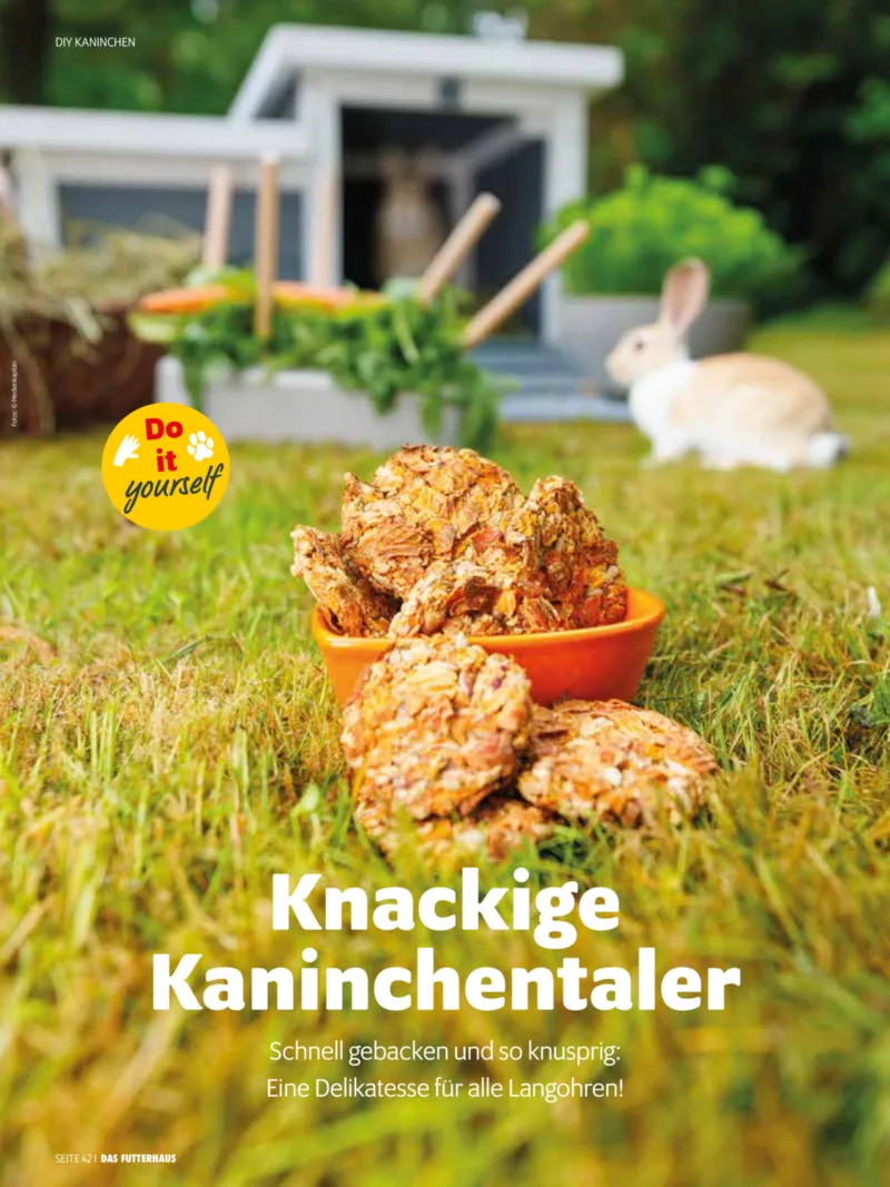 Das Futterhaus Prospekt vom 08.08.2026, Seite 42