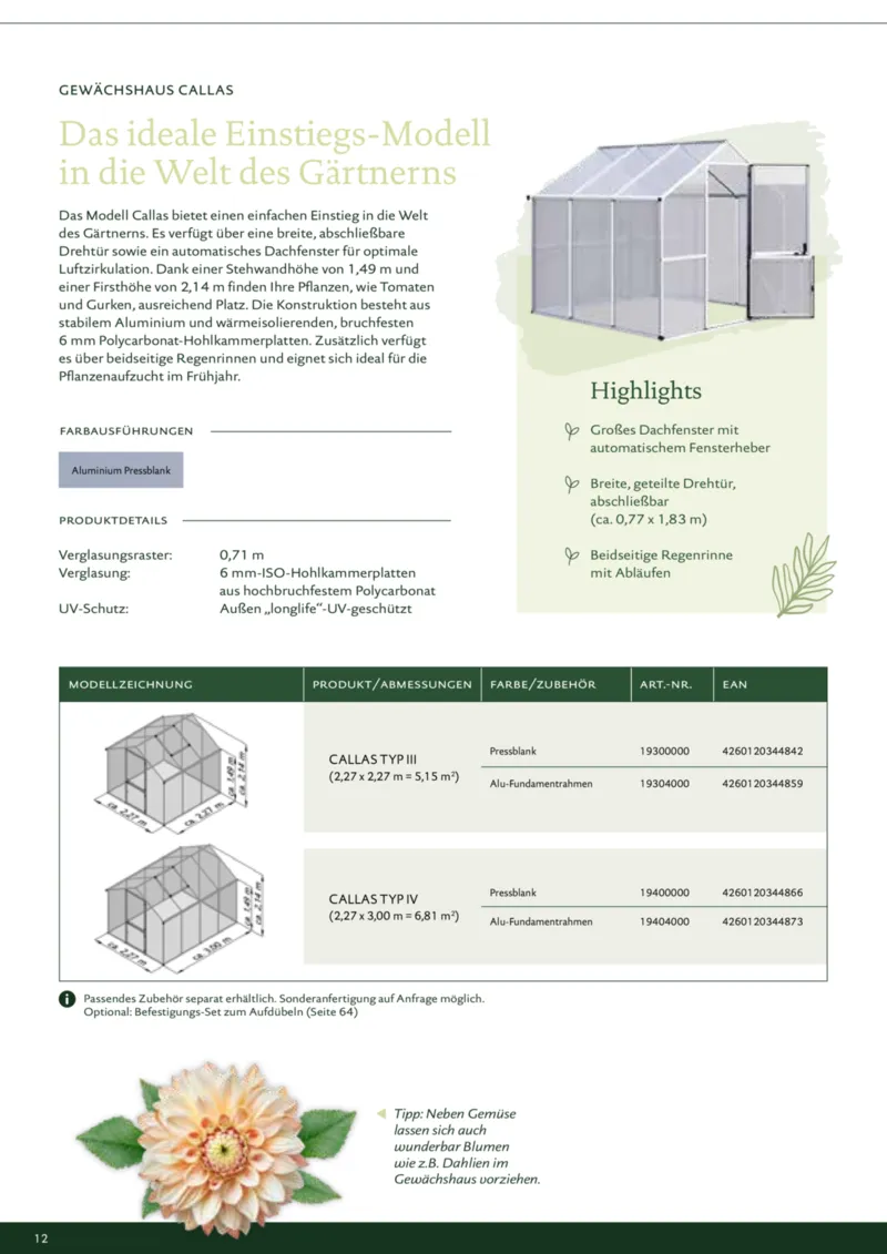 Dehner Prospekt vom 12.02.2025, Seite 12