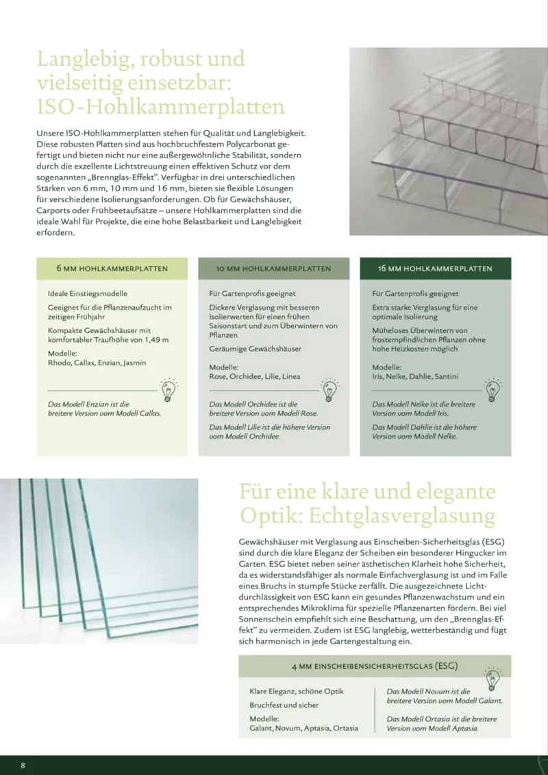 Dehner Prospekt vom 12.02.2025, Seite 8