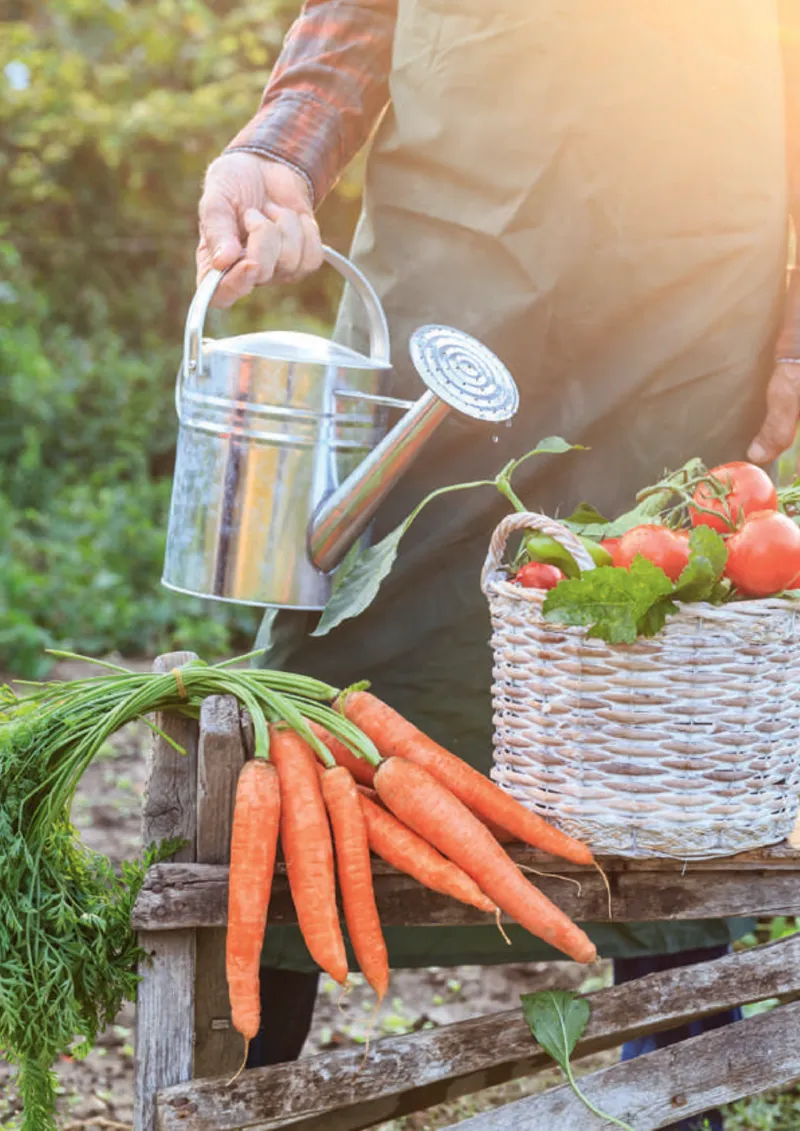 Dehner Prospekt vom 12.02.2025, Seite 2
