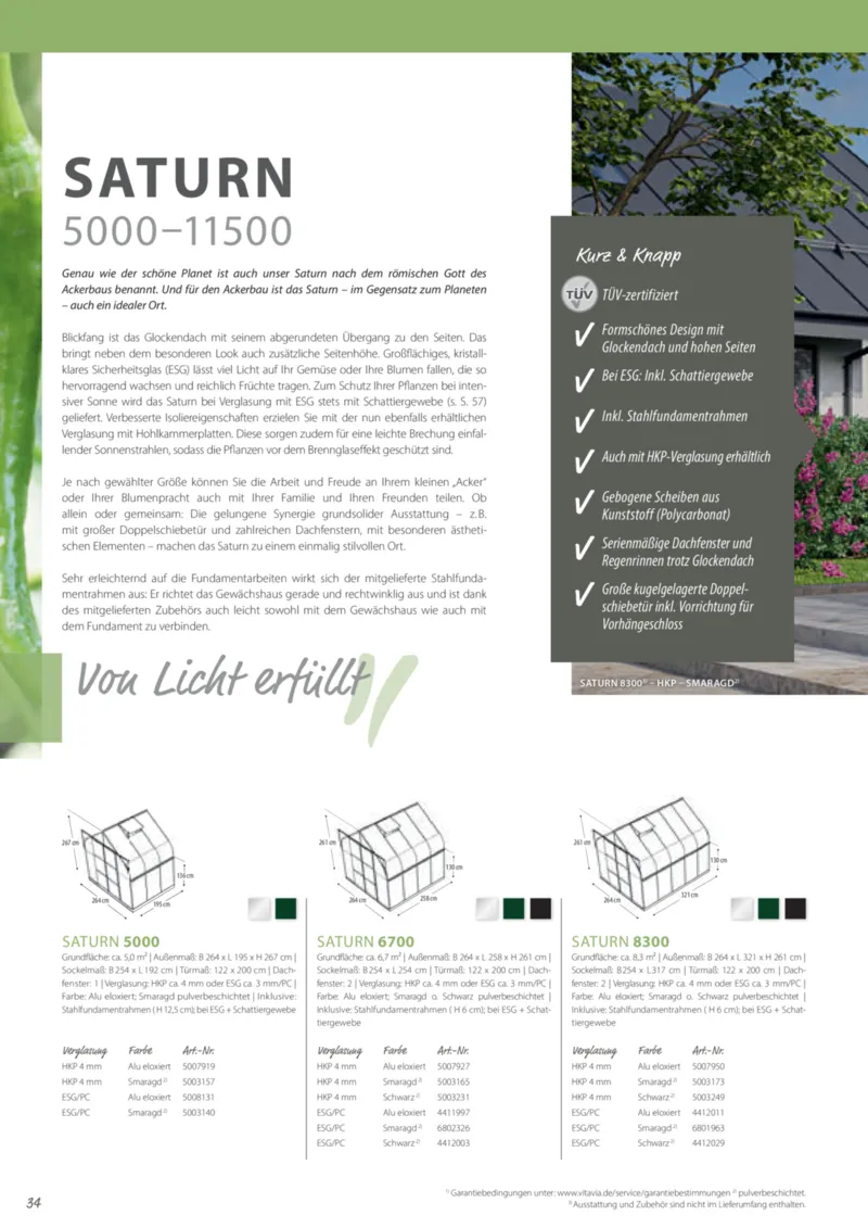 Dehner Prospekt vom 12.02.2025, Seite 34