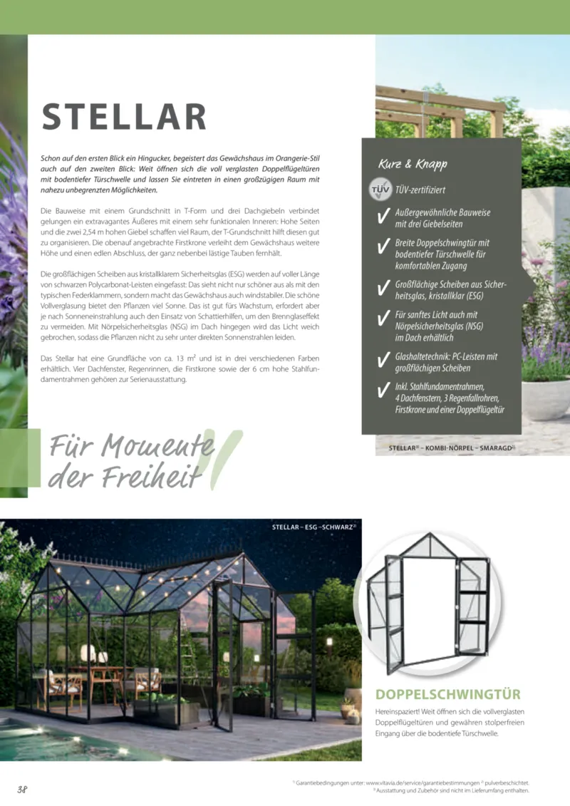 Dehner Prospekt vom 12.02.2025, Seite 38