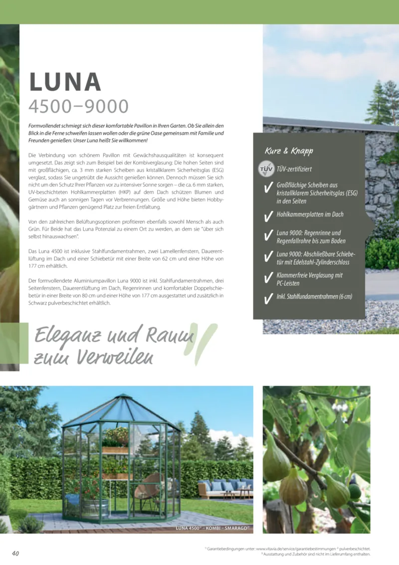 Dehner Prospekt vom 12.02.2025, Seite 40