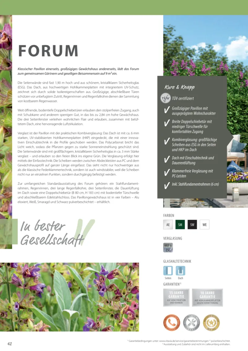 Dehner Prospekt vom 12.02.2025, Seite 42