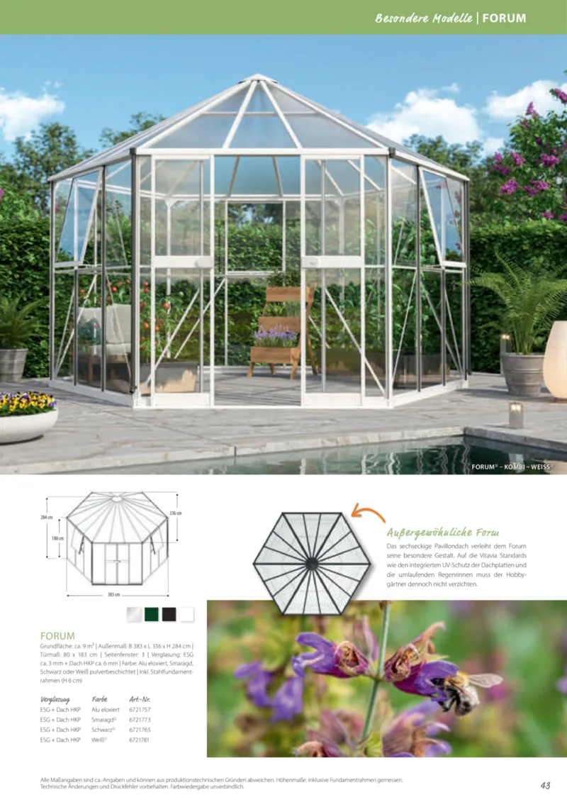 Dehner Prospekt vom 12.02.2025, Seite 43