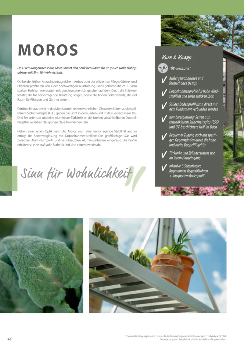 Dehner Prospekt vom 12.02.2025, Seite 46