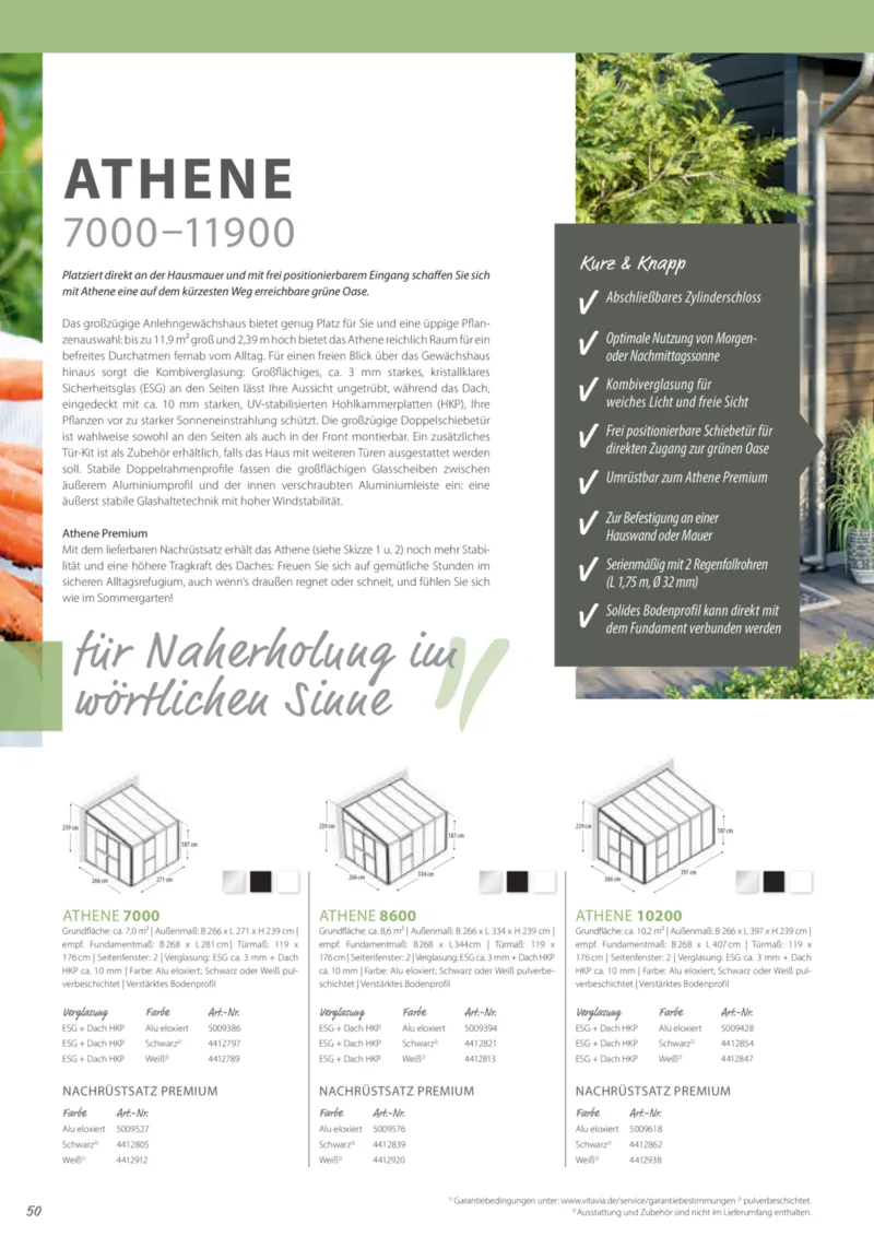 Dehner Prospekt vom 12.02.2025, Seite 50