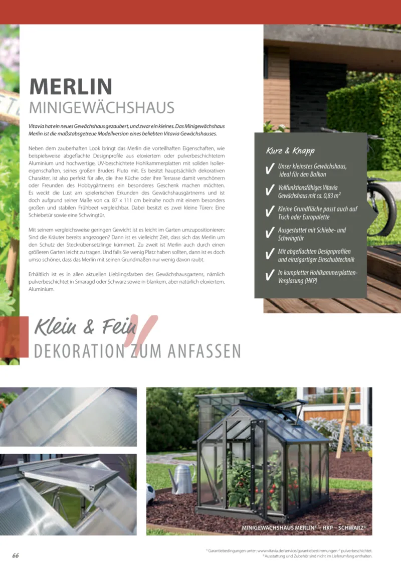 Dehner Prospekt vom 12.02.2025, Seite 66