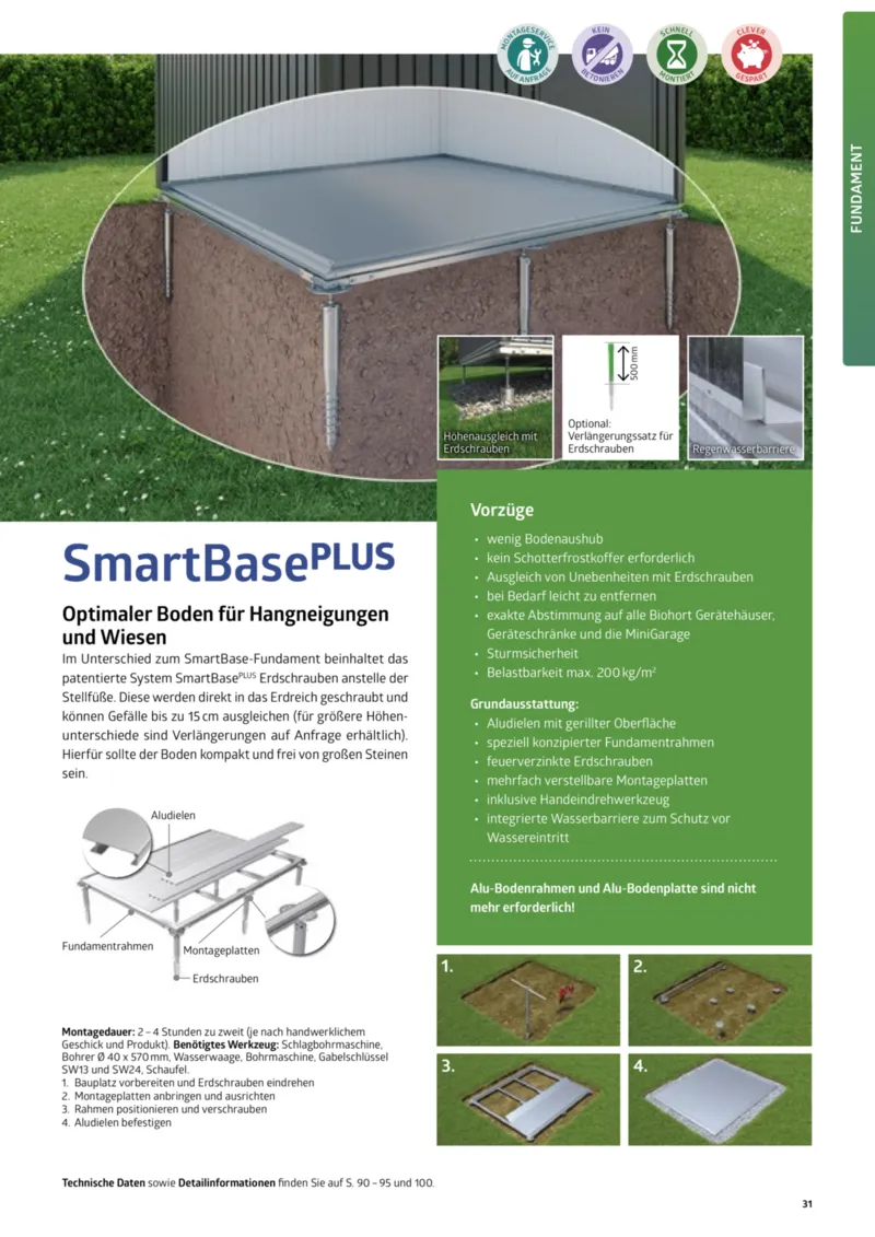 Dehner Prospekt vom 12.02.2025, Seite 31