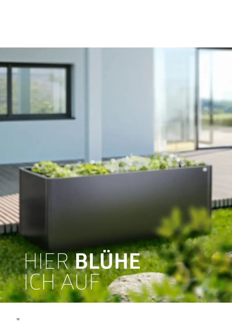 Dehner Prospekt vom 12.02.2025, Seite 72