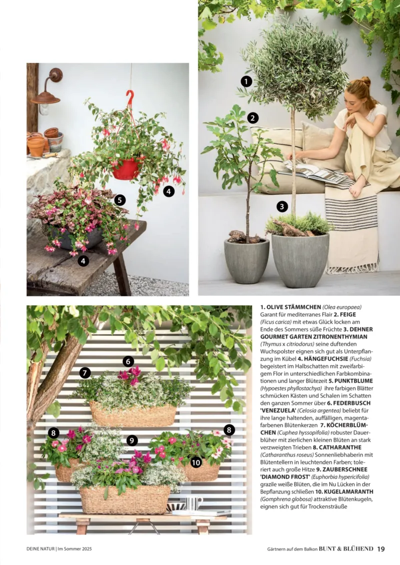 Dehner Prospekt vom 23.04.2025, Seite 19