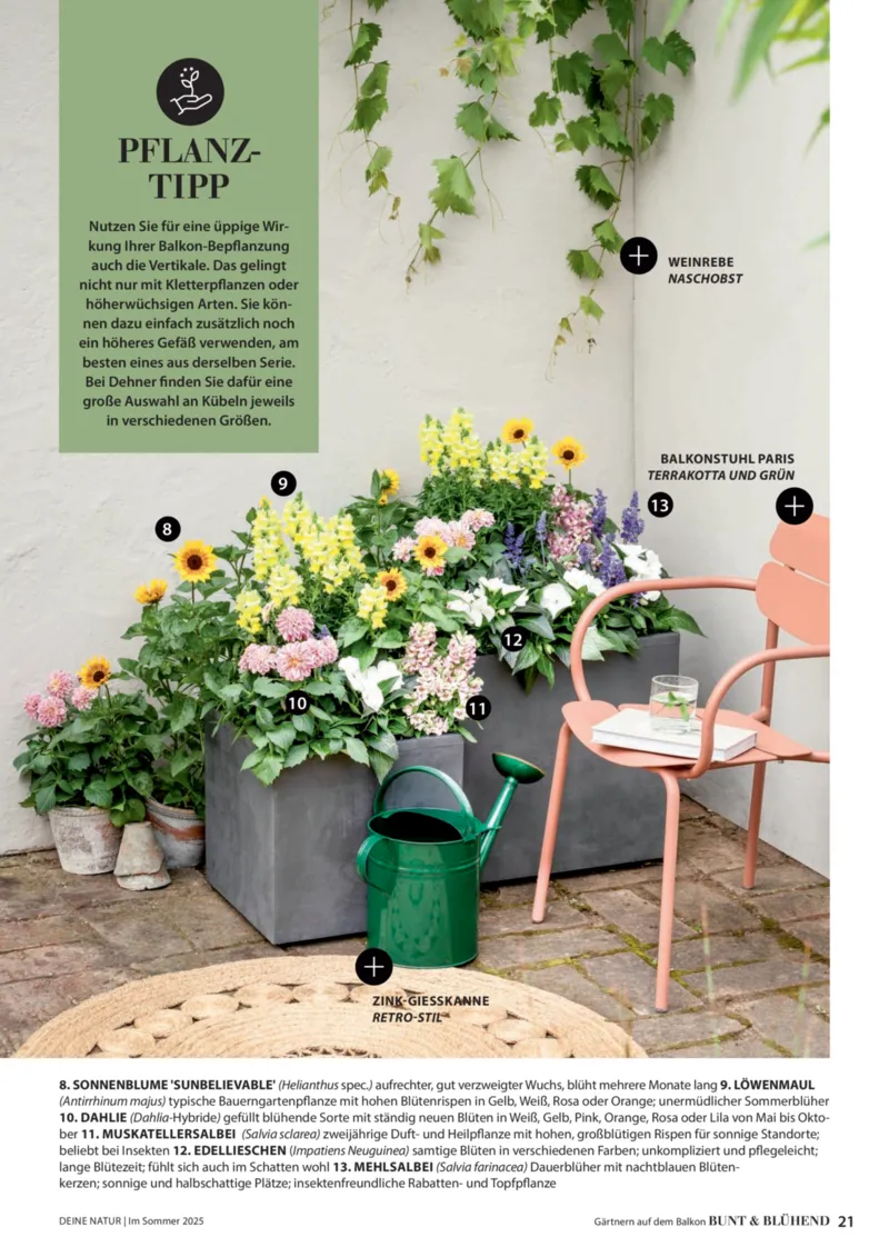 Dehner Prospekt vom 23.04.2025, Seite 21