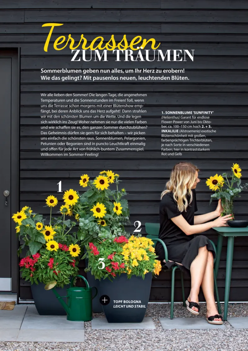 Dehner Prospekt vom 23.04.2025, Seite 22