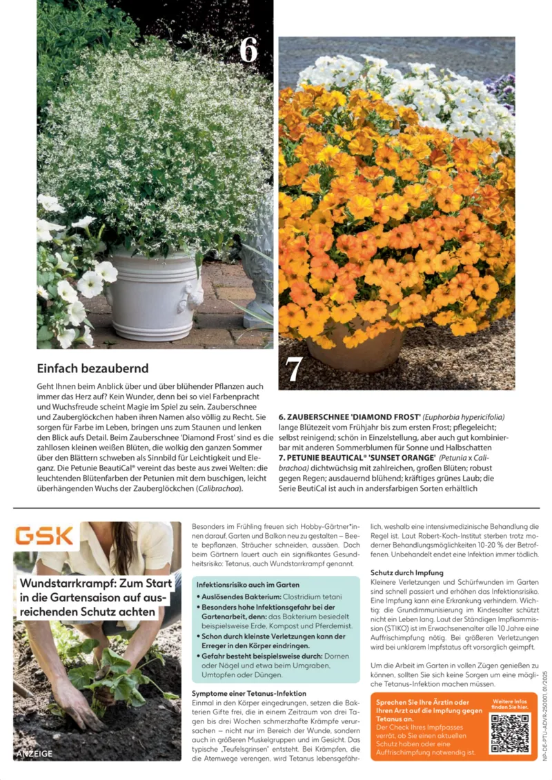 Dehner Prospekt vom 23.04.2025, Seite 25