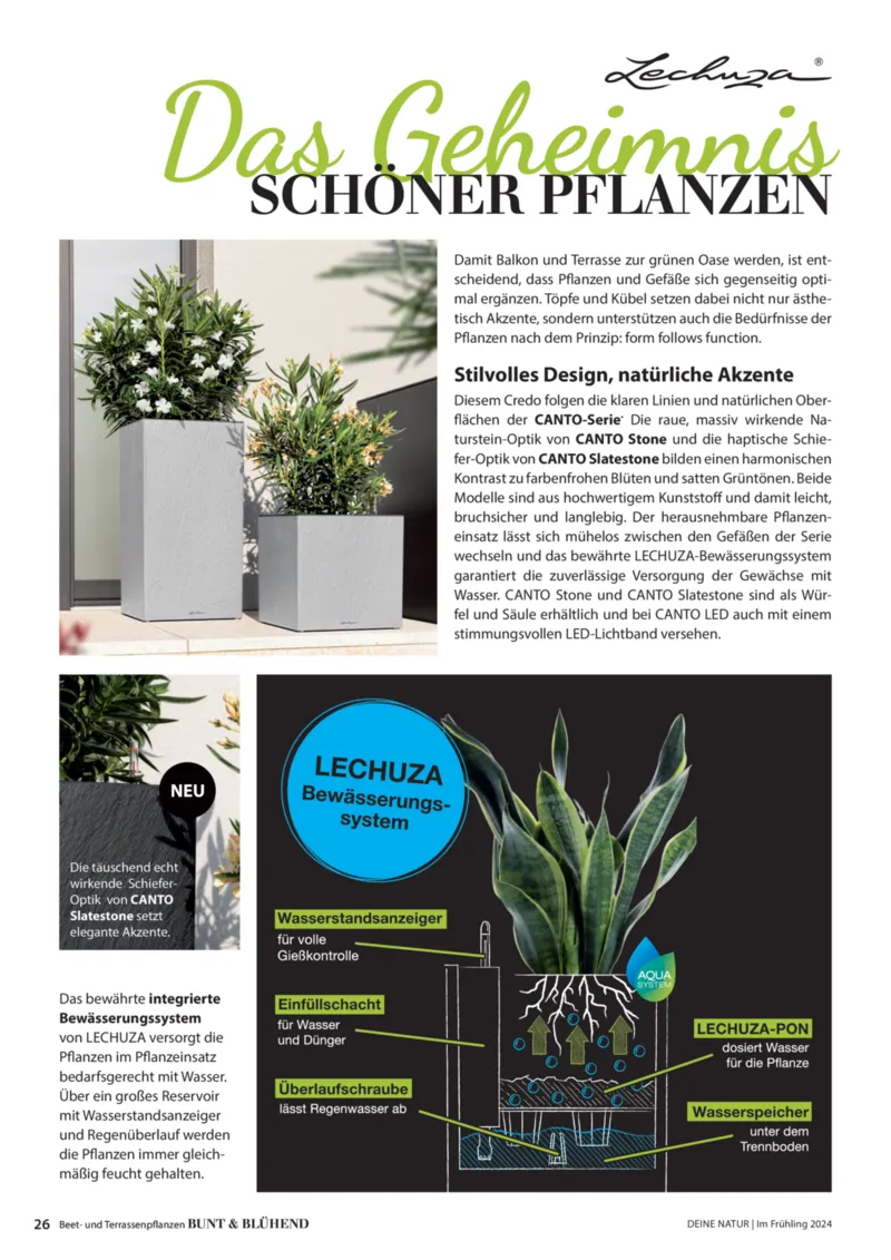 Dehner Prospekt vom 23.04.2025, Seite 26