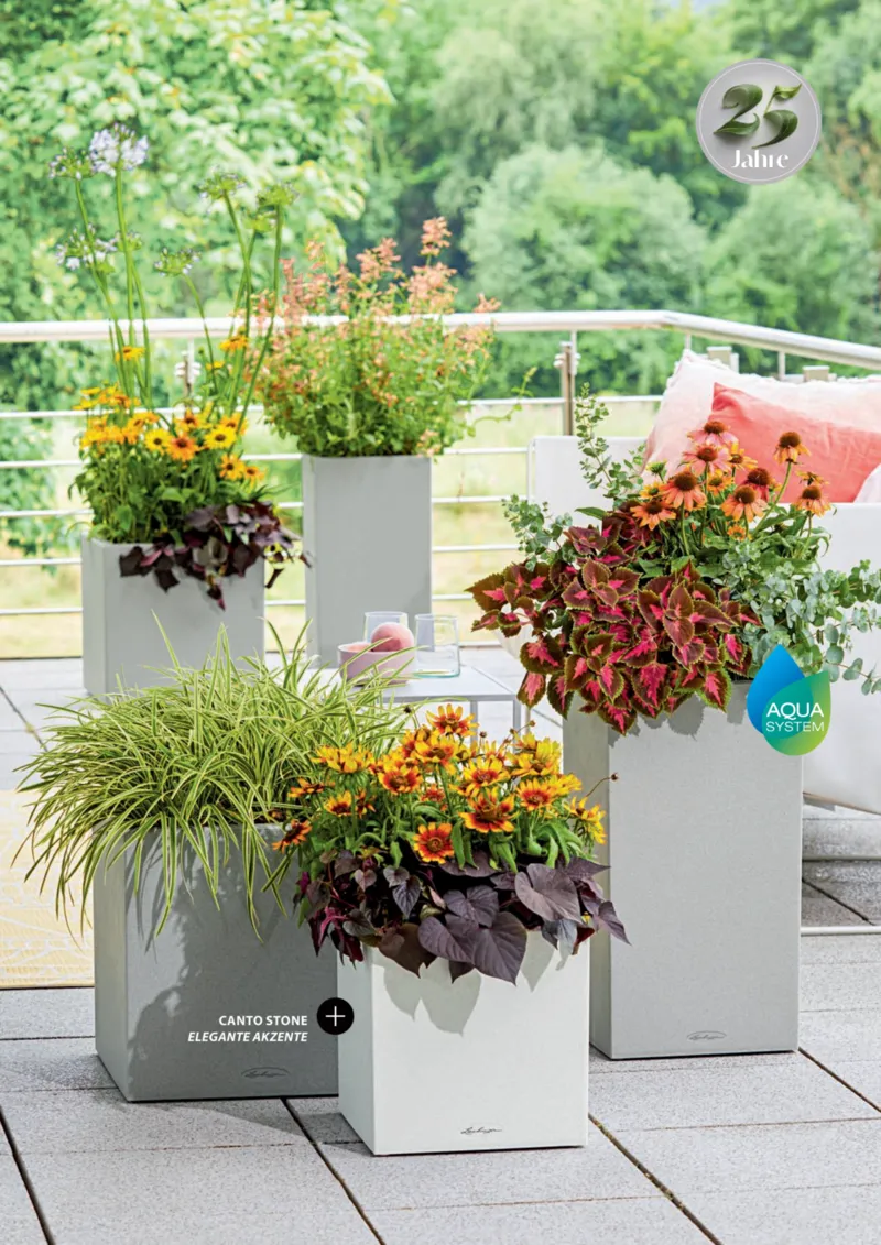 Dehner Prospekt vom 23.04.2025, Seite 27