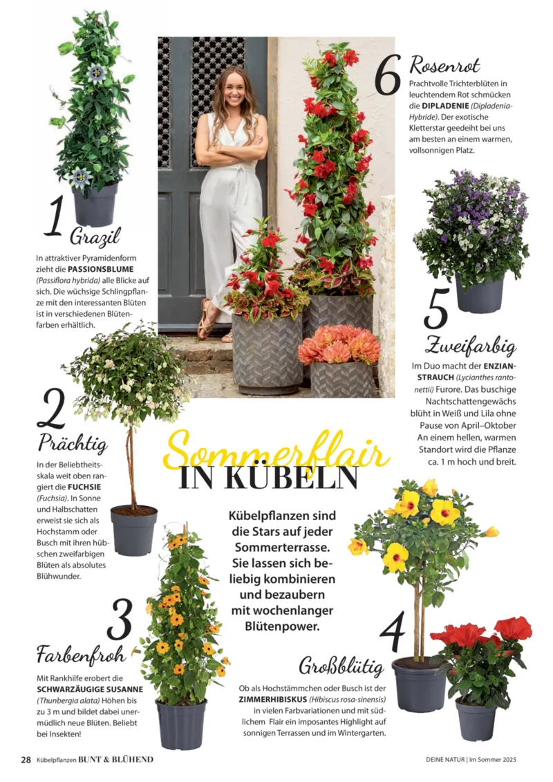 Dehner Prospekt vom 23.04.2025, Seite 28