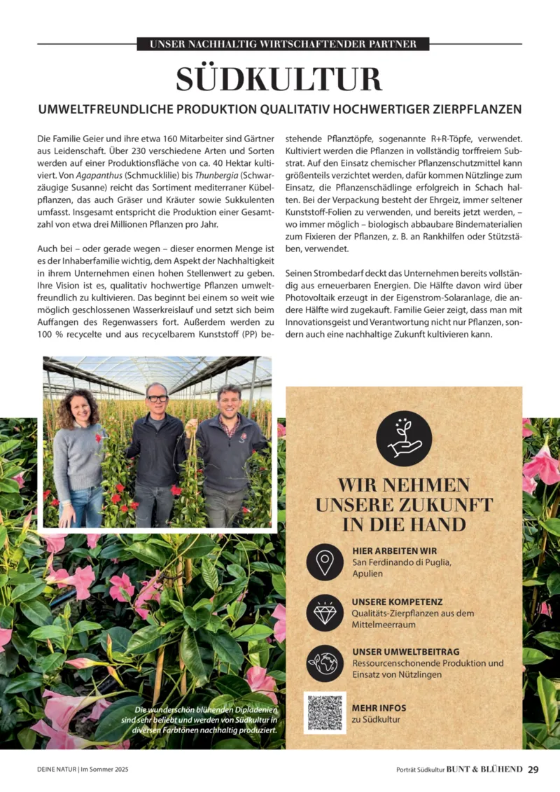 Dehner Prospekt vom 23.04.2025, Seite 29