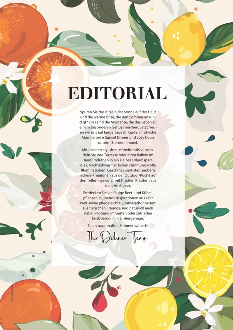 Dehner Prospekt vom 23.04.2025, Seite 3