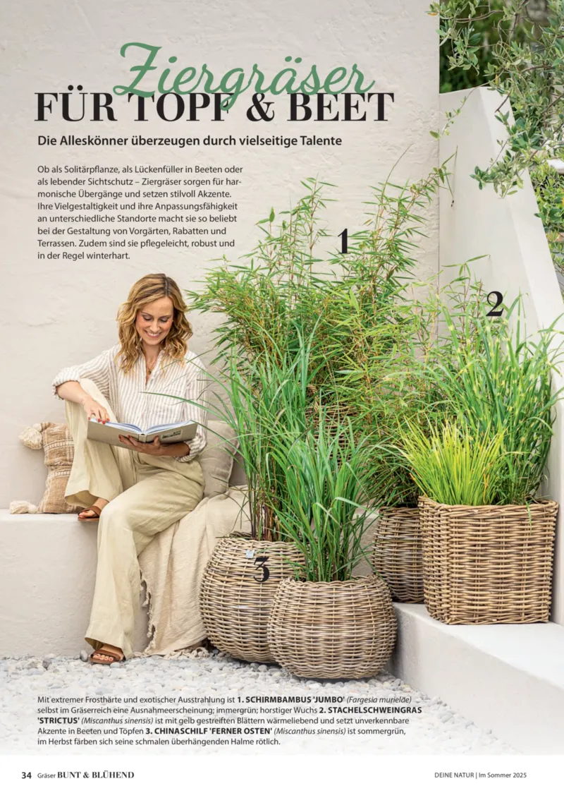 Dehner Prospekt vom 23.04.2025, Seite 34