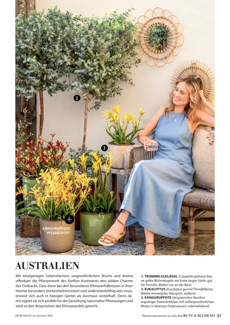 Dehner Prospekt vom 23.04.2025, Seite 37