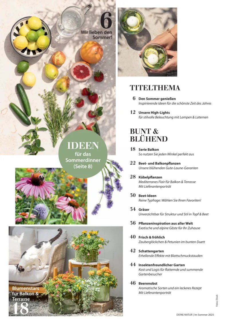 Dehner Prospekt vom 23.04.2025, Seite 4