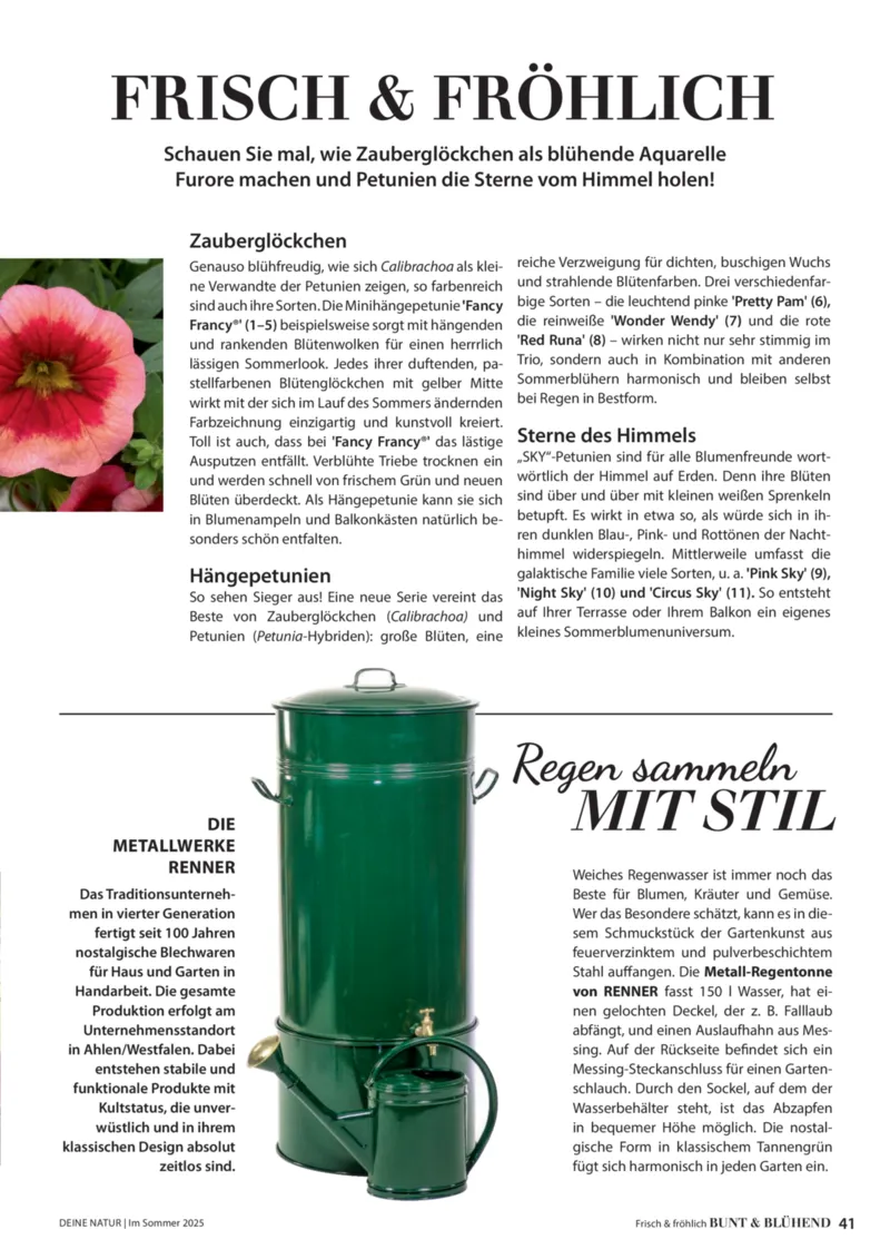 Dehner Prospekt vom 23.04.2025, Seite 41