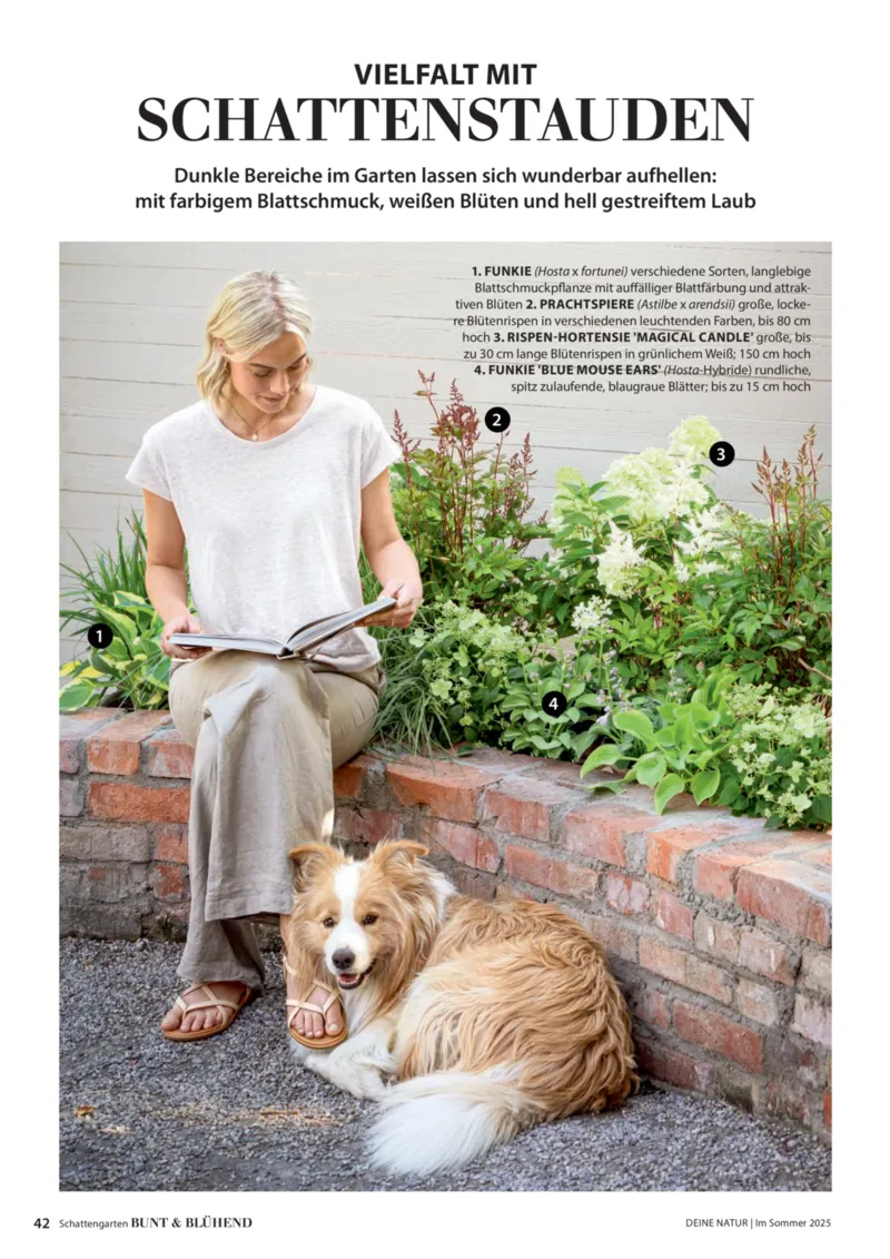 Dehner Prospekt vom 23.04.2025, Seite 42