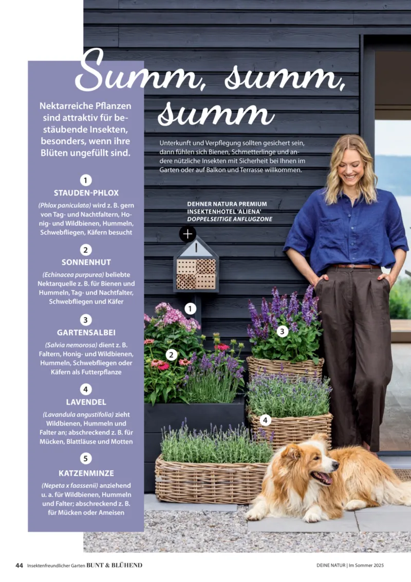 Dehner Prospekt vom 23.04.2025, Seite 44