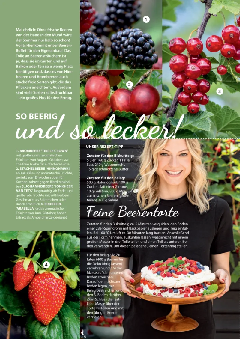 Dehner Prospekt vom 23.04.2025, Seite 46