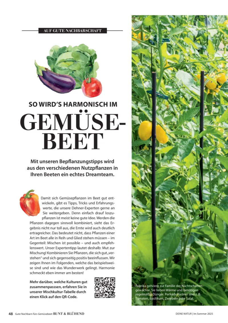 Dehner Prospekt vom 23.04.2025, Seite 48