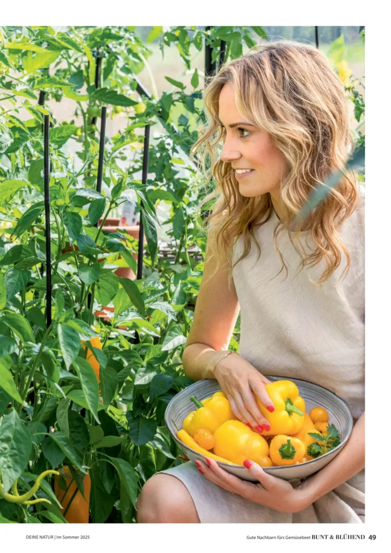 Dehner Prospekt vom 23.04.2025, Seite 49