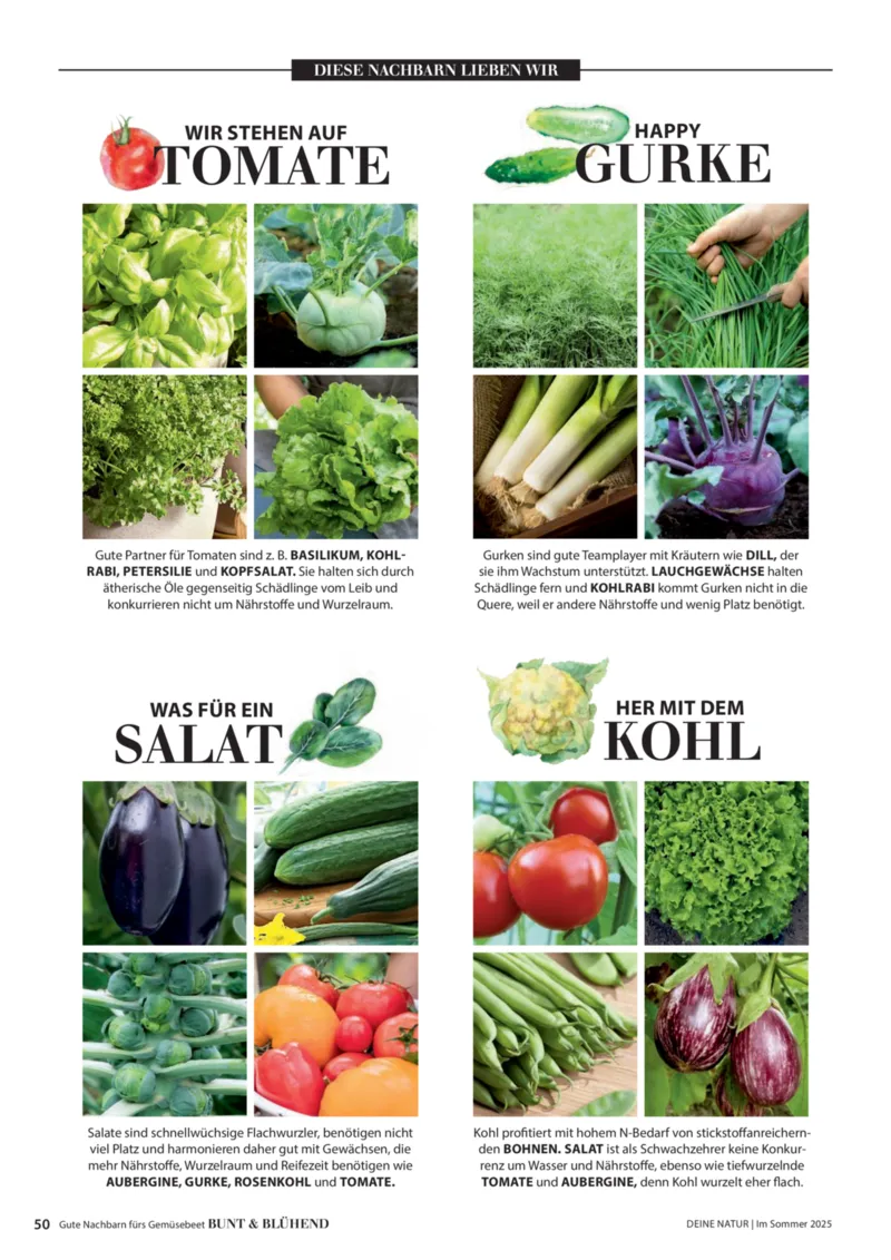 Dehner Prospekt vom 23.04.2025, Seite 50