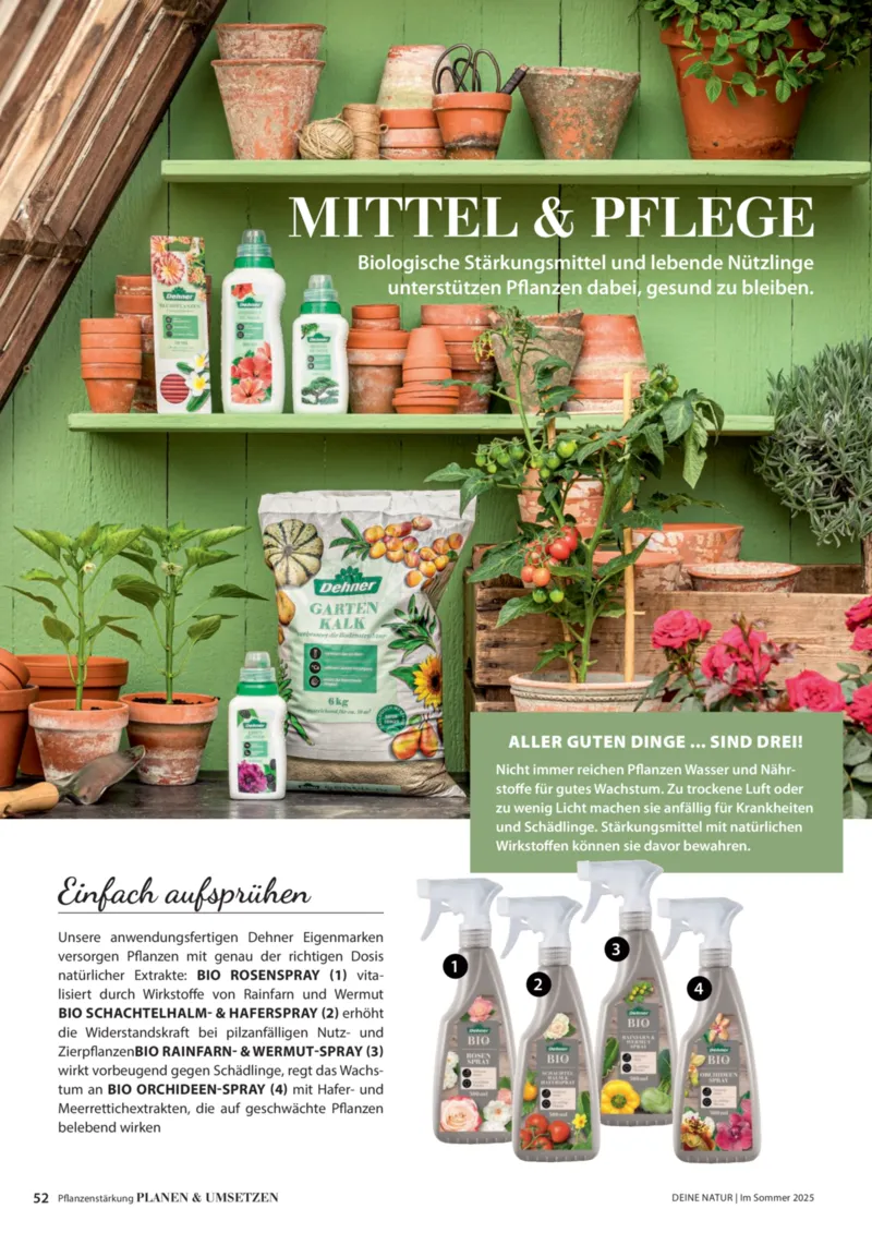 Dehner Prospekt vom 23.04.2025, Seite 52