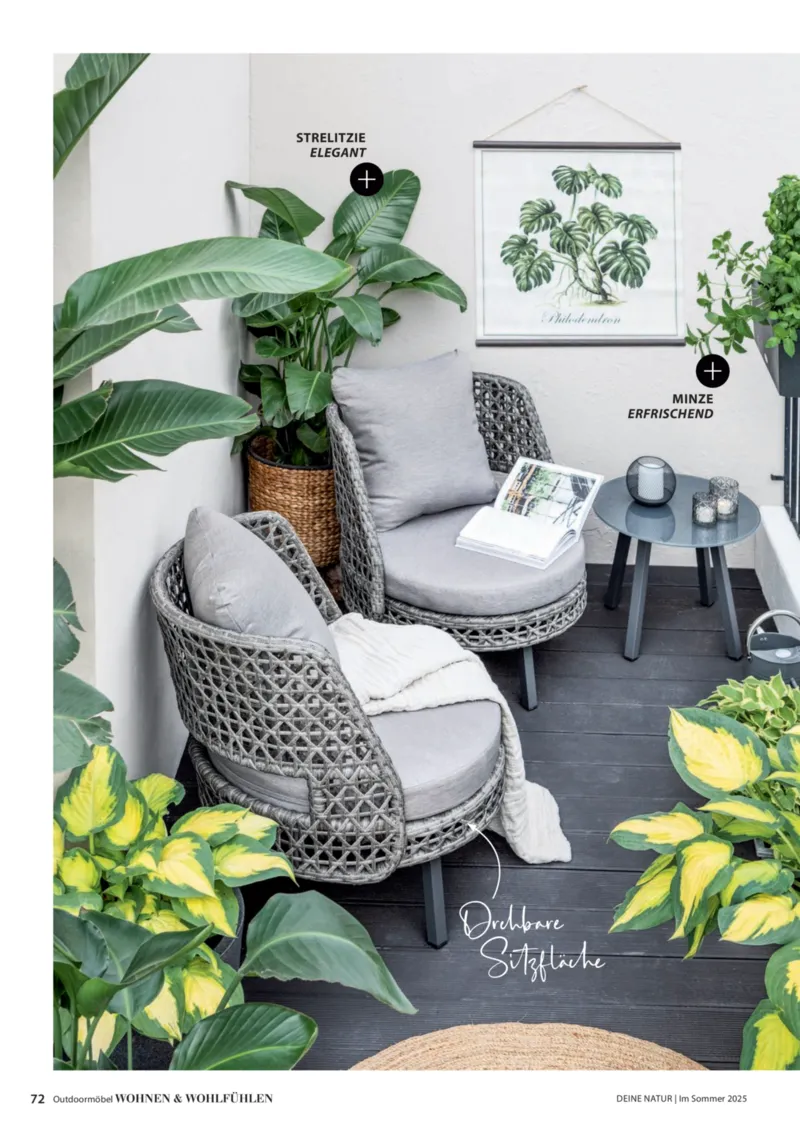 Dehner Prospekt vom 23.04.2025, Seite 72