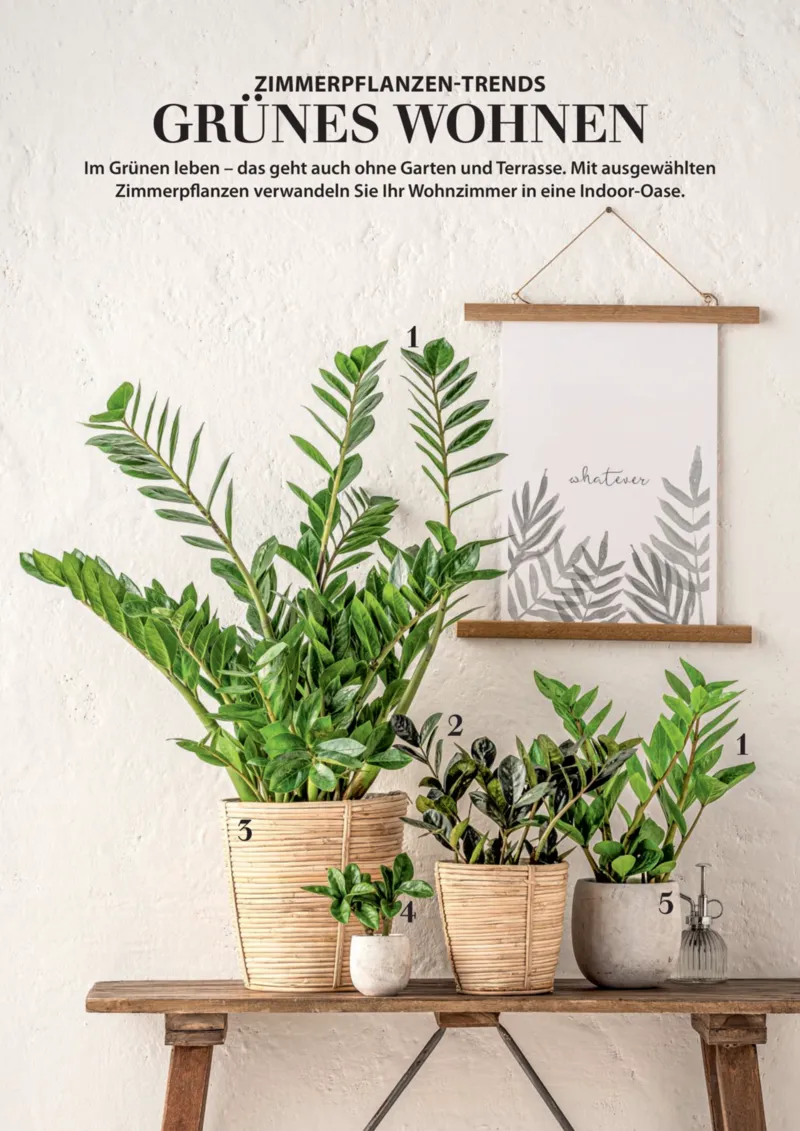 Dehner Prospekt vom 23.04.2025, Seite 76