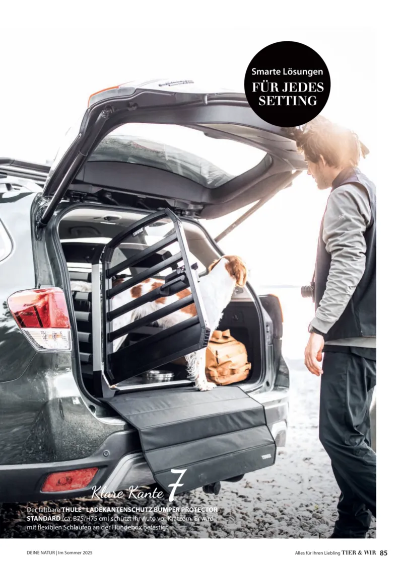 Dehner Prospekt vom 23.04.2025, Seite 85