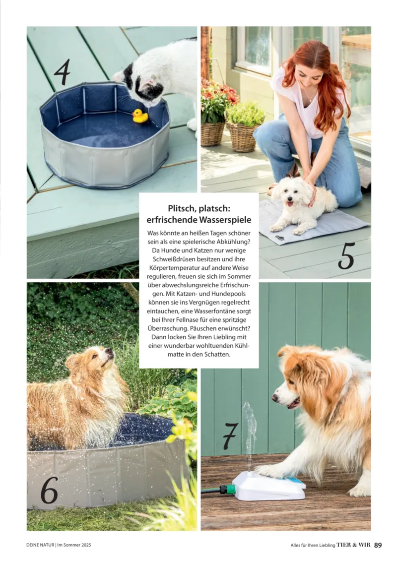 Dehner Prospekt vom 23.04.2025, Seite 89