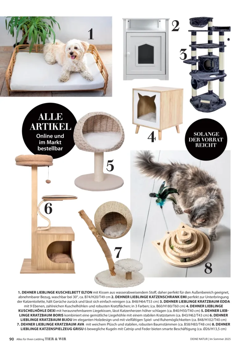 Dehner Prospekt vom 23.04.2025, Seite 90