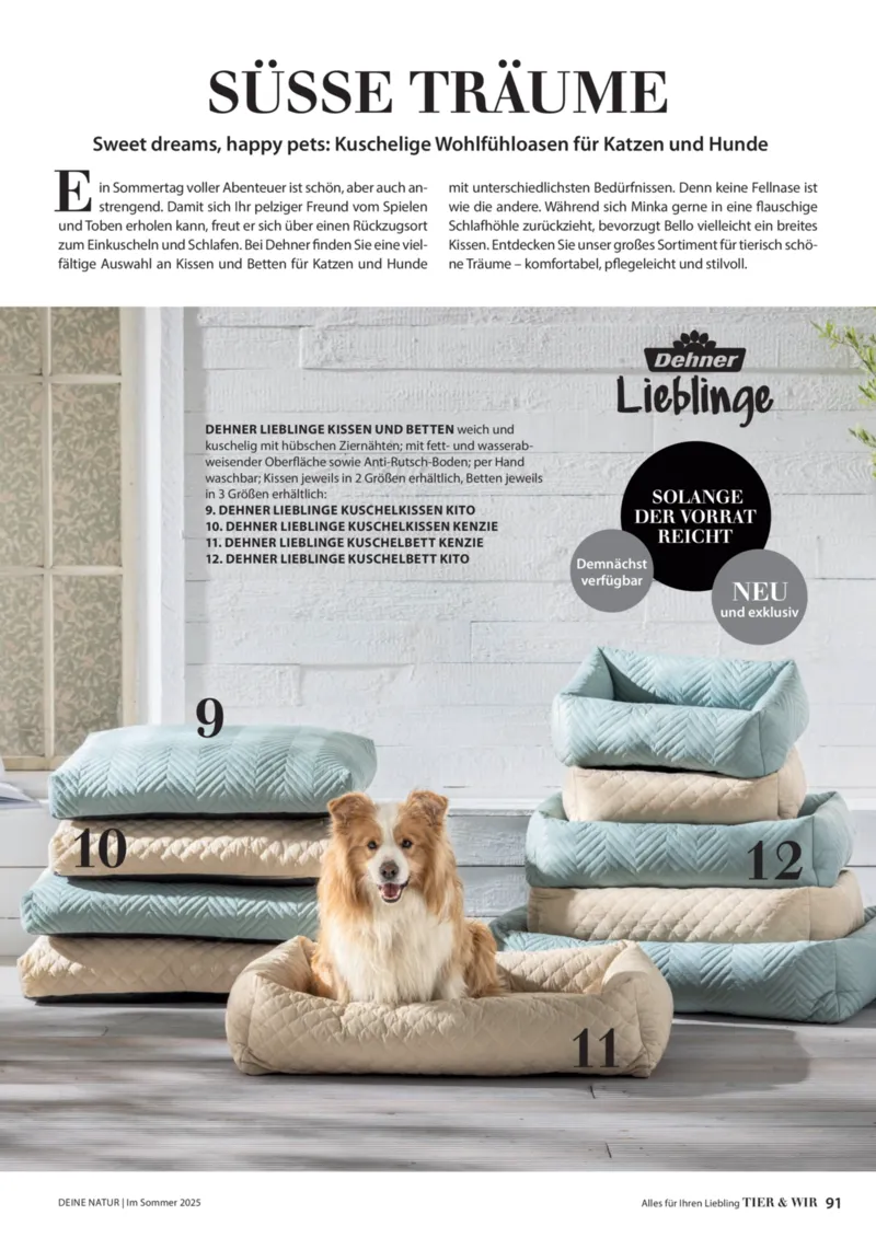 Dehner Prospekt vom 23.04.2025, Seite 91
