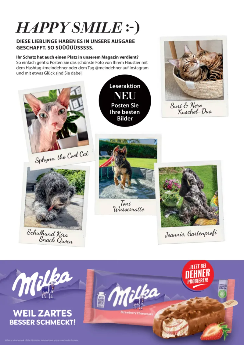 Dehner Prospekt vom 23.04.2025, Seite 96