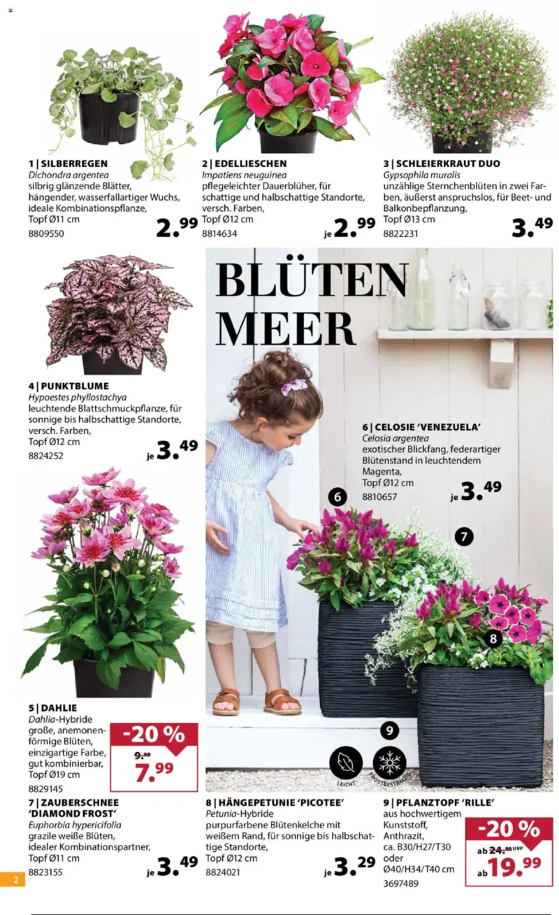 Dehner Prospekt vom 03.06.2025, Seite 2