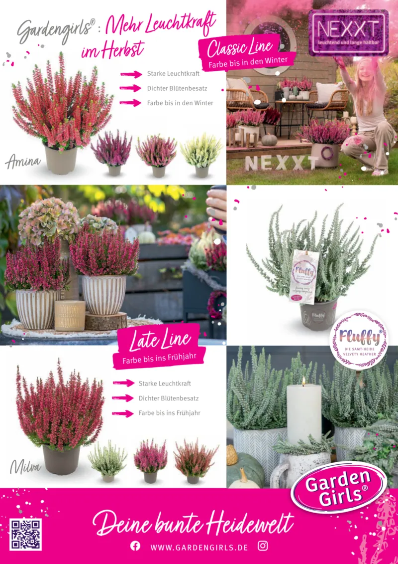 Dehner Prospekt vom 09.10.2025, Seite 11